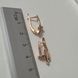 Сережки з медичного золота з позолотою 3107223946 фото 12